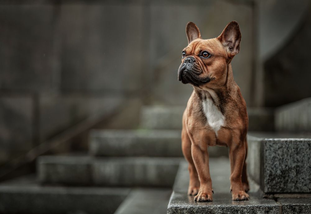 Photograph by Gertrude Goené