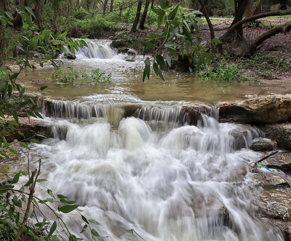 Photograph by Drora Baharal