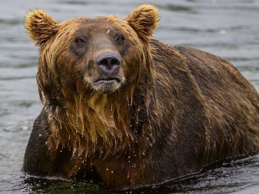 Photograph by Пупонин Сергей