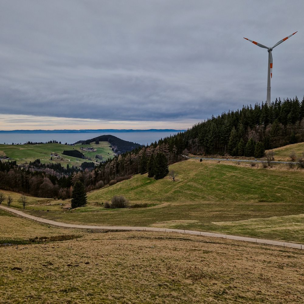 Photograph by Tatyana Pomogaeva