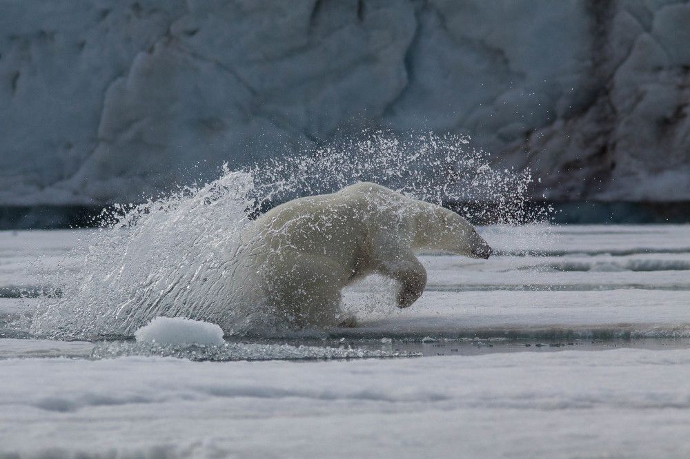 Photograph by Марина Маликова