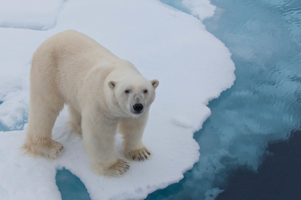 Photograph by Марина Маликова