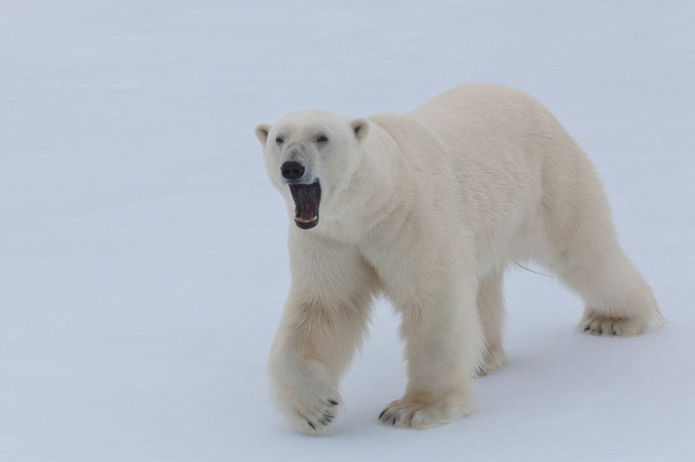 Photograph by Марина Маликова