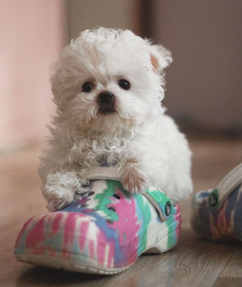 Photograph by Нина Минченко