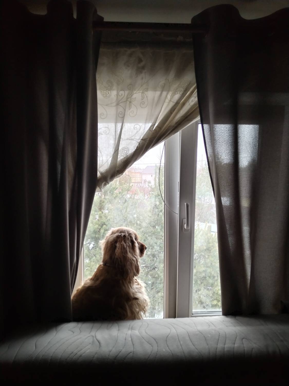 Photo #10464128