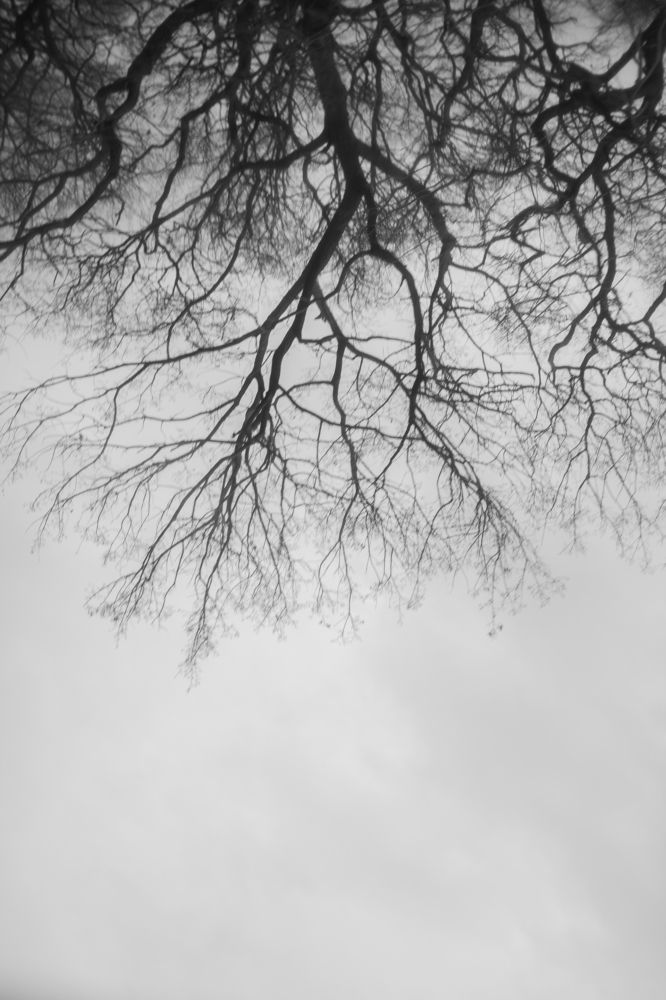 Photograph by Ирина