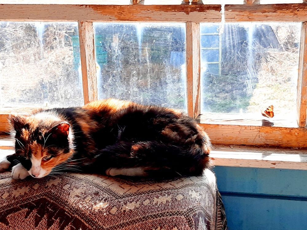 Photograph by Екатерина