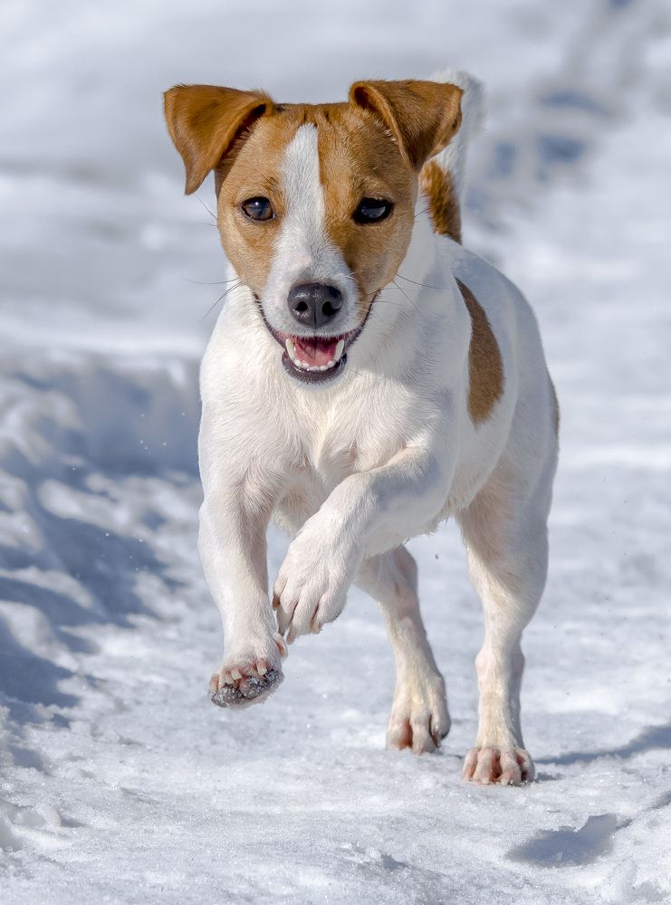 Photograph by Роман Кудрявцев