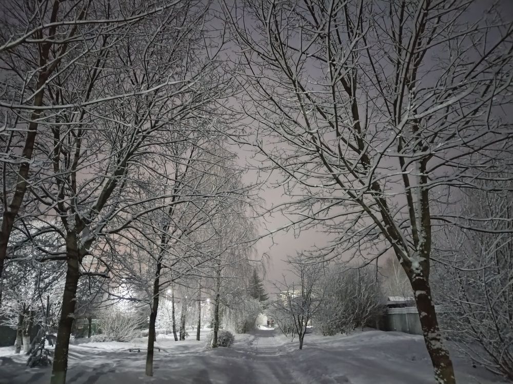Photograph by Татьяна Краева