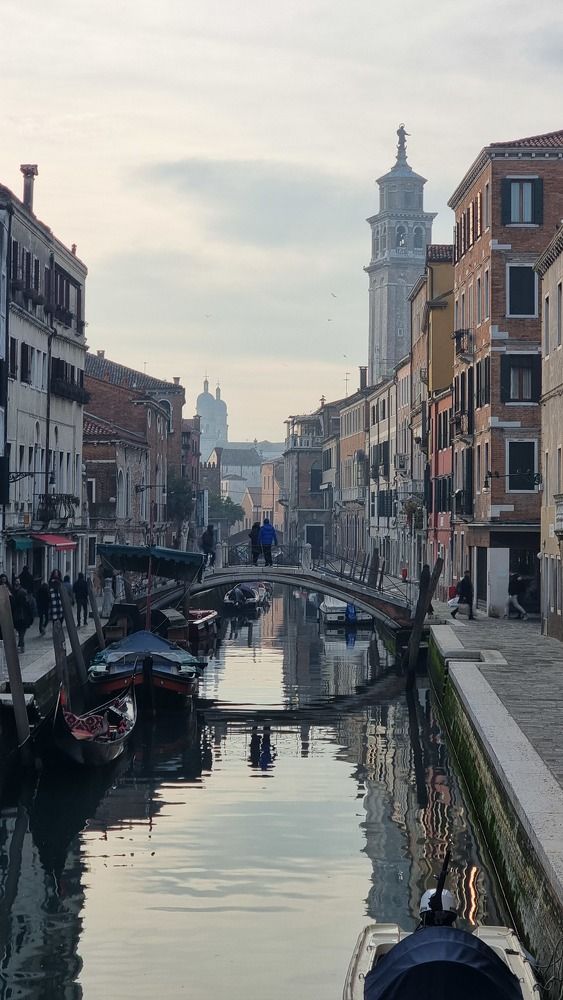 Фотография автора Elvira Cutler