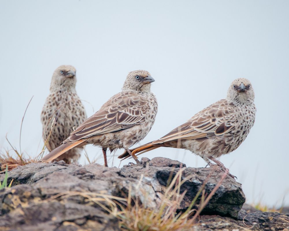 Photograph by BENEN VISION