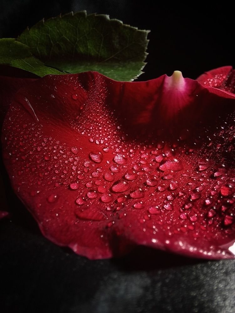 Photograph by Александра Королёва