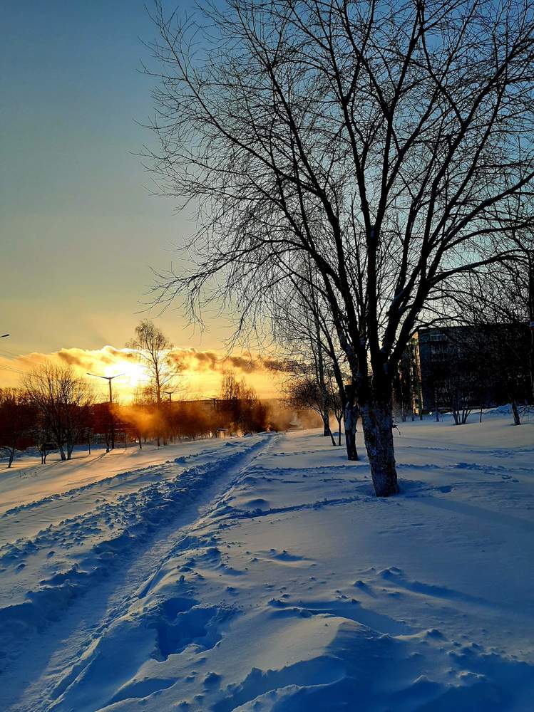 Фотография автора Наталья Шендяпина