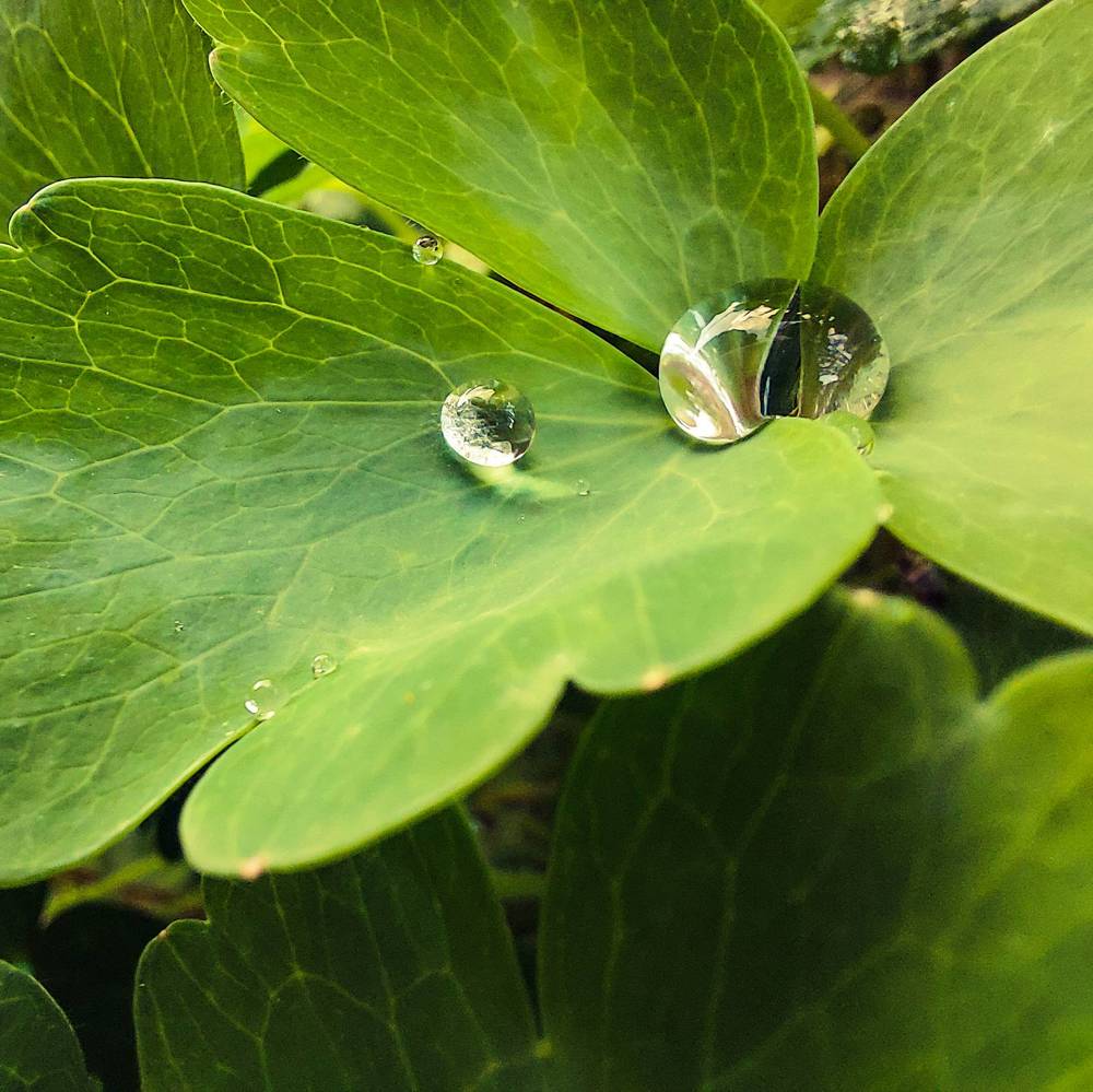 Photograph by Ирина Мекш