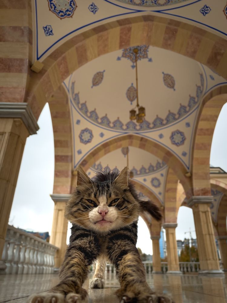 Фотография автора Вячеслав Александров