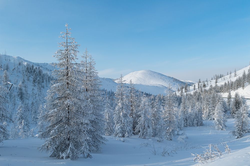 Photograph by Zemnuhov Sergey