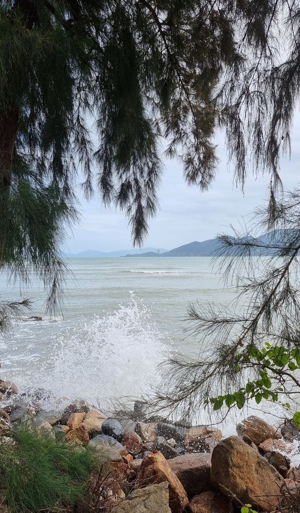 Фотография автора Наталья