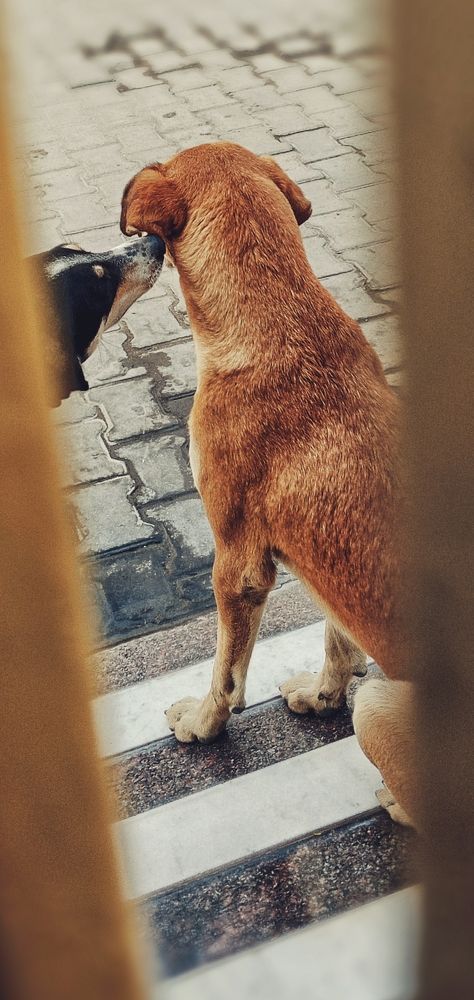 Photo #10464647