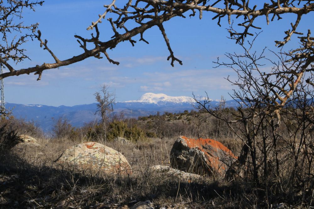 Photograph by Cengiz Yalcin