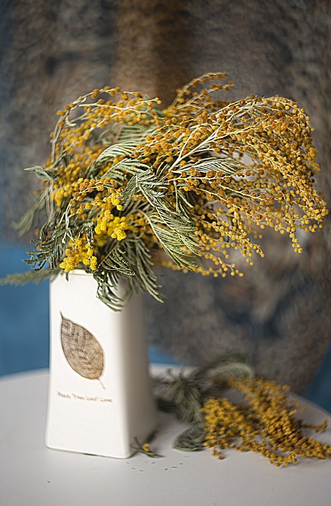 Фотография автора Елена Разина