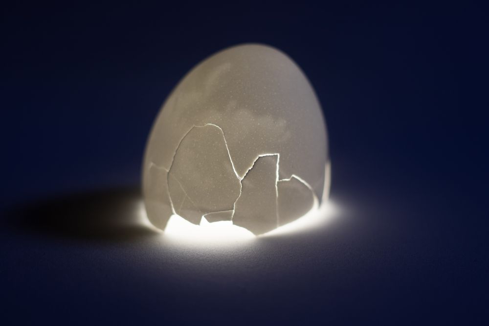 Photograph by Juliana