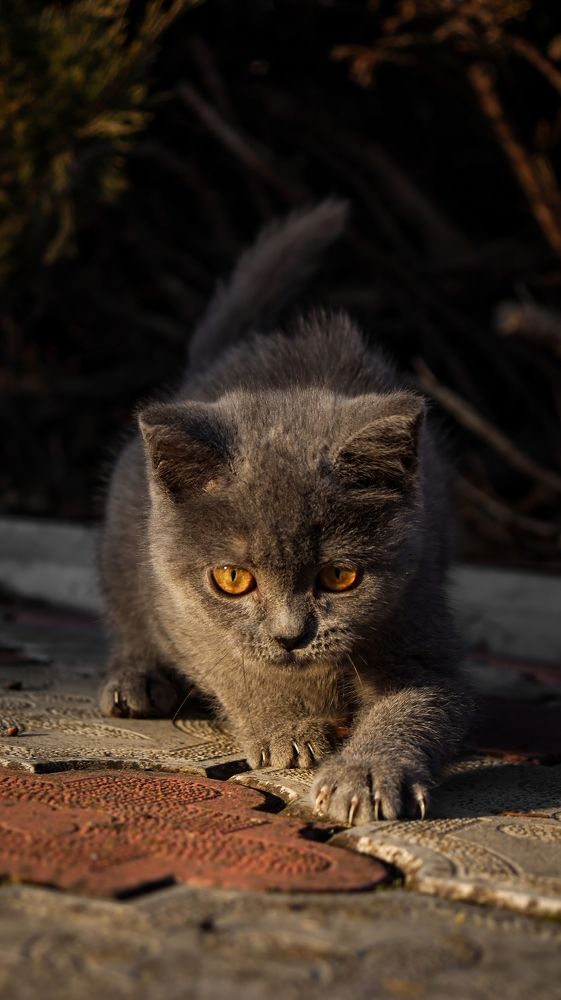 Photograph by Даниил Сырбу