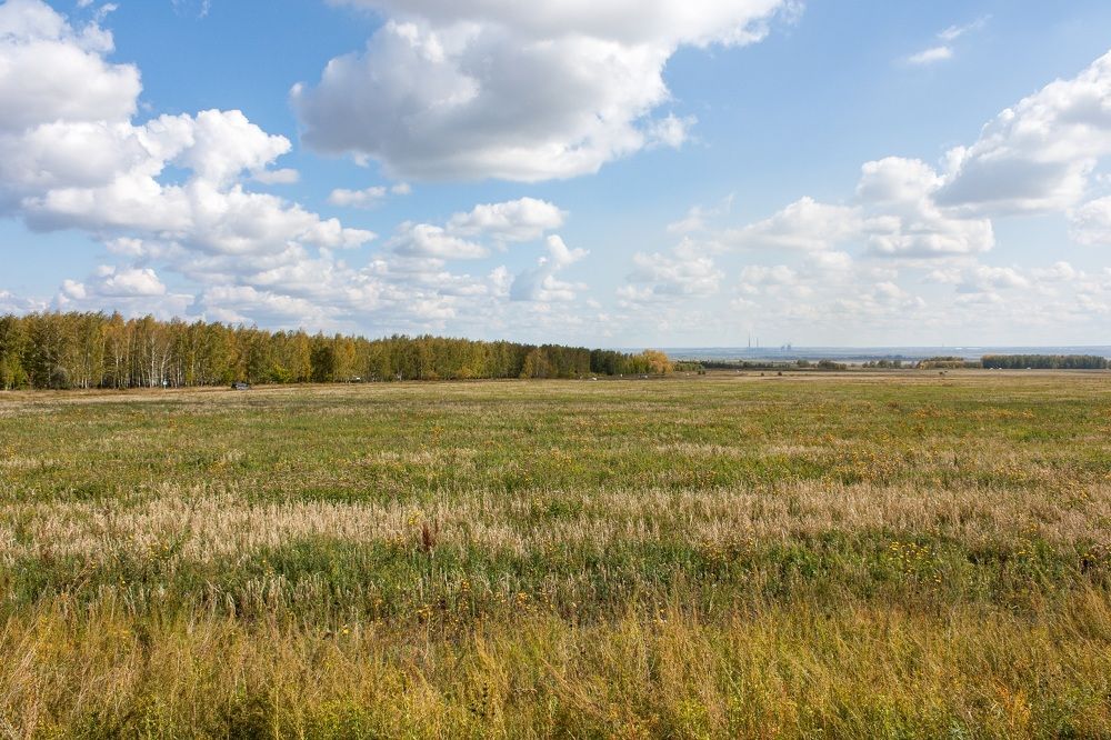 Photograph by Валерий Федяров