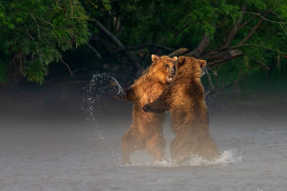 Photograph by Elena Levi