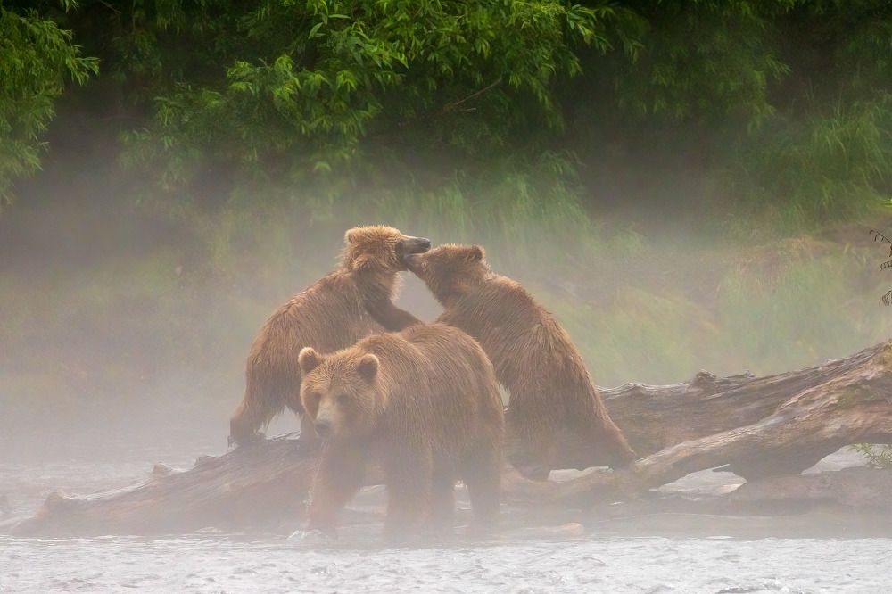 Photograph by Elena Levi