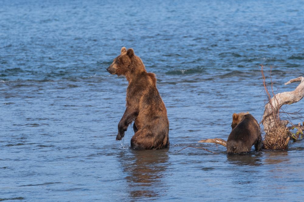 Photograph by Савчиц Марина