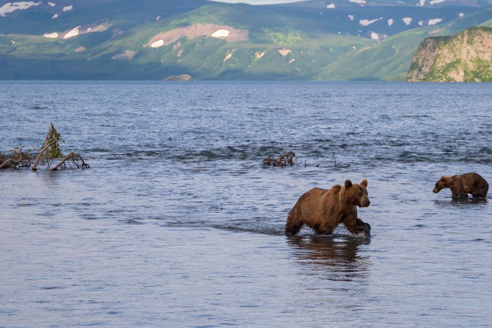 Фотография автора Савчиц Марина