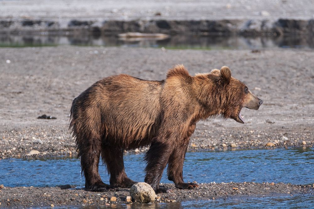 Photograph by Савчиц Марина