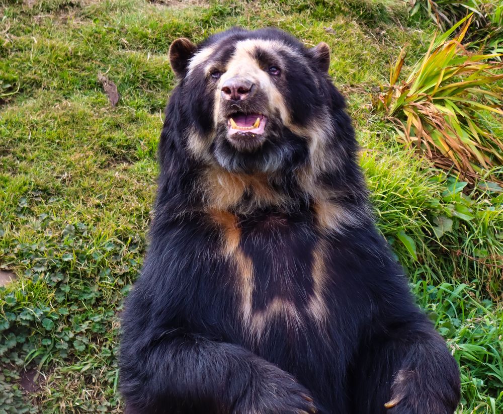 Photograph by Jorge Giol