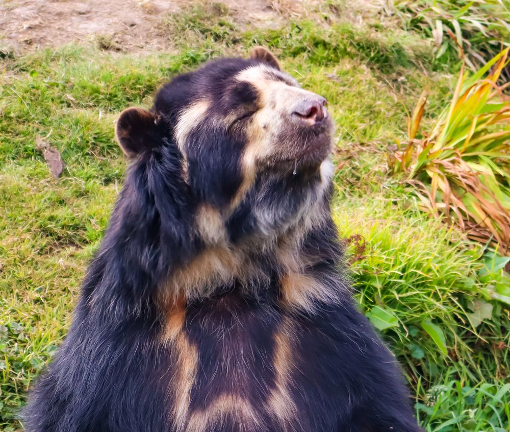 Photograph by Jorge Giol