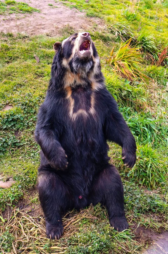 Photograph by Jorge Giol