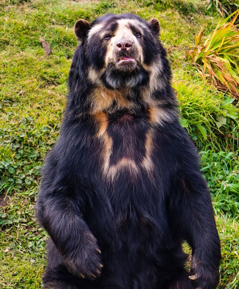 Photograph by Jorge Giol