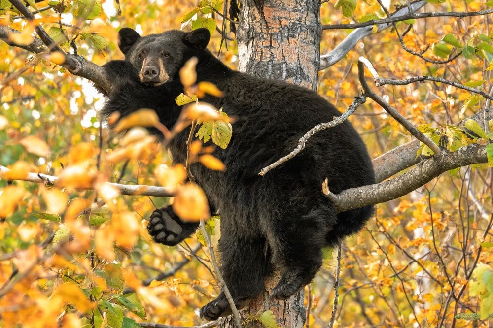 Photograph by Jared Solberg