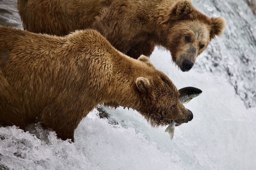 Photograph by Jared Solberg