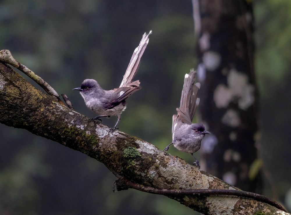 Photograph by Sin shing Lim