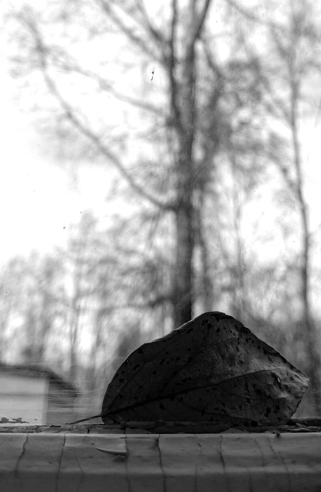 Photograph by Ирина Аверьянова