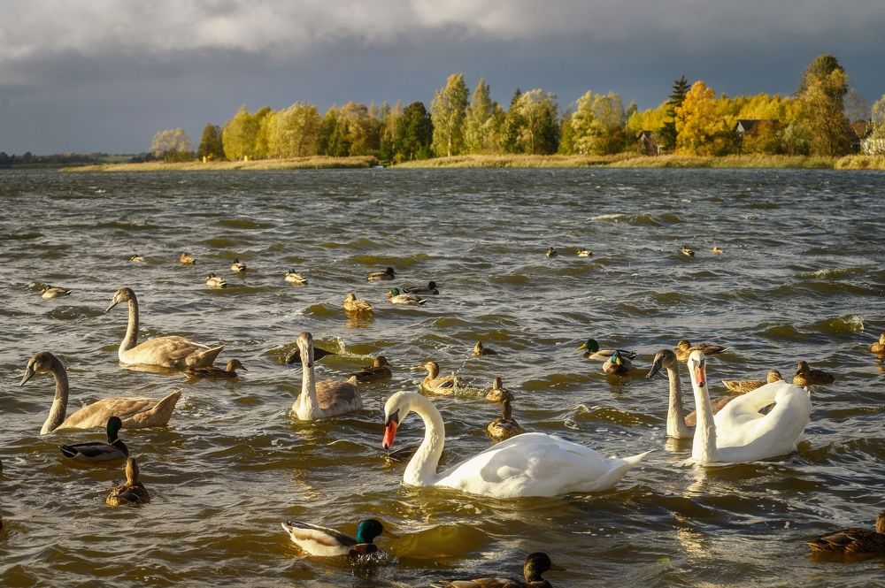 Photograph by Roman Dmitriev