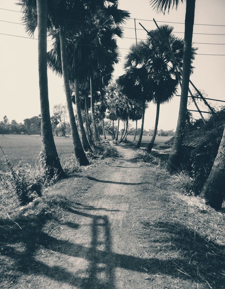 Photograph by Amiya Guchhait