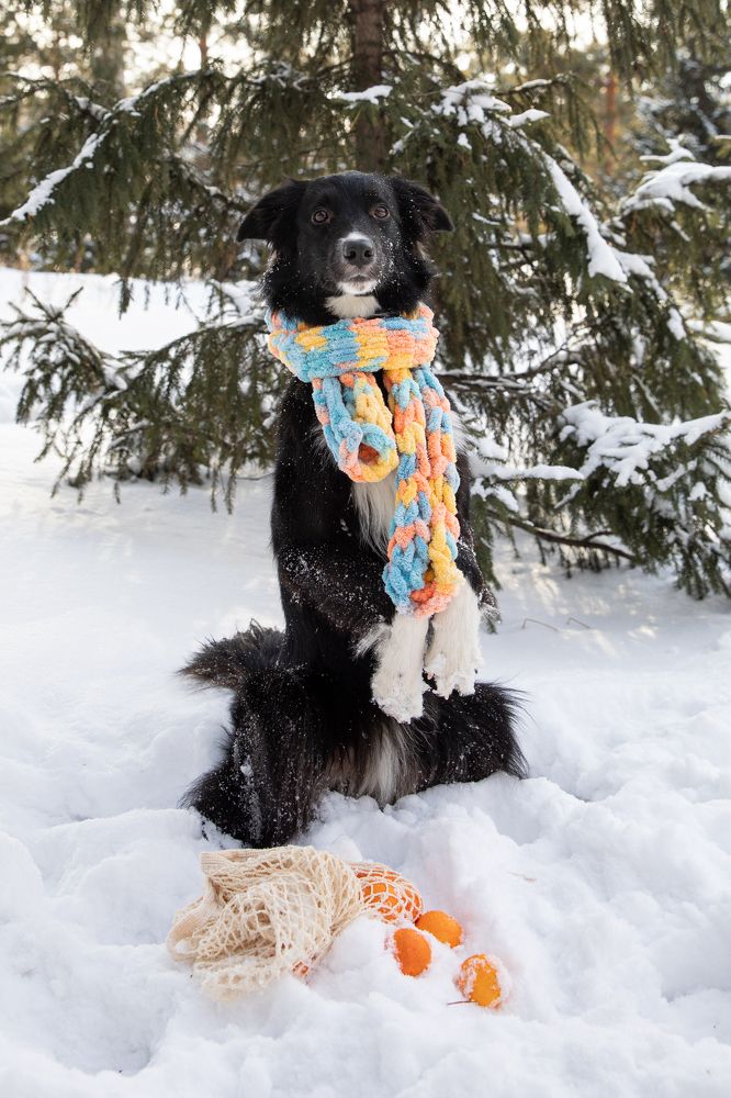 Photograph by Татьяна Арендаренко