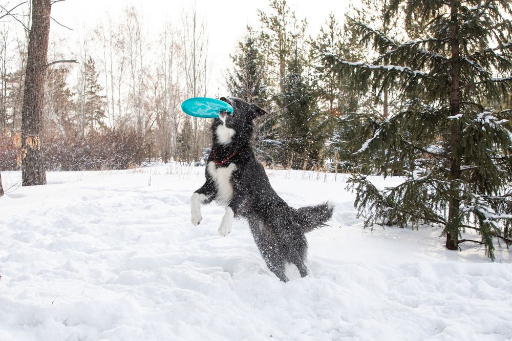Photograph by Татьяна Арендаренко