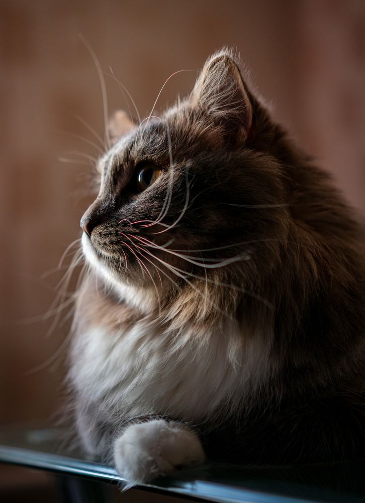 Photograph by Evgeny Ilyin