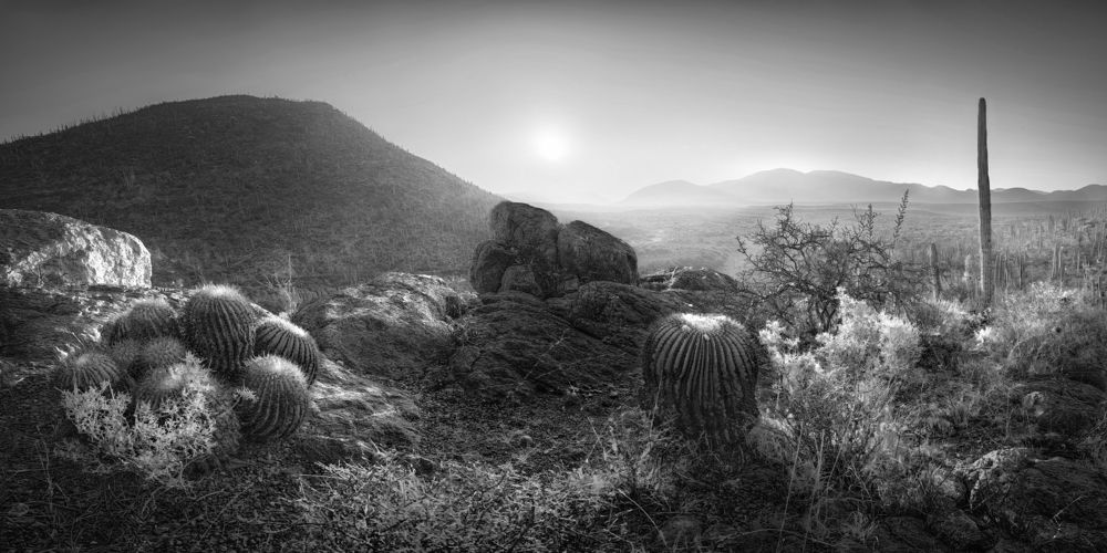 Photograph by Luis Lyons