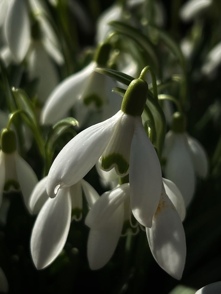 Photograph by Eugenia Schmidt