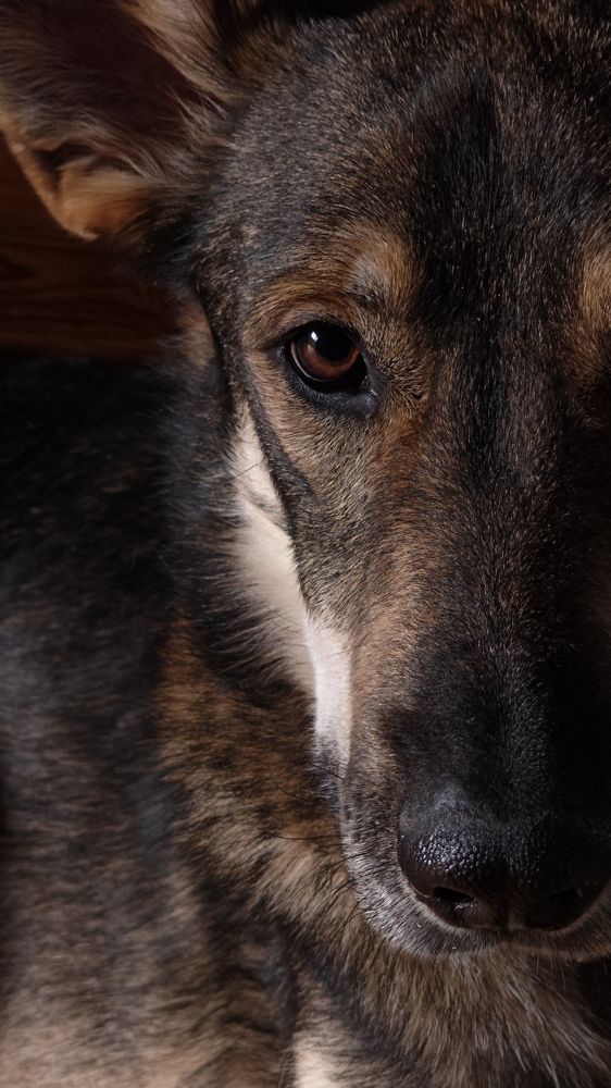 Photograph by Данил Шауба