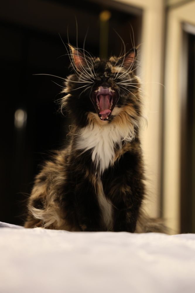 Photograph by Ольга Кириллова