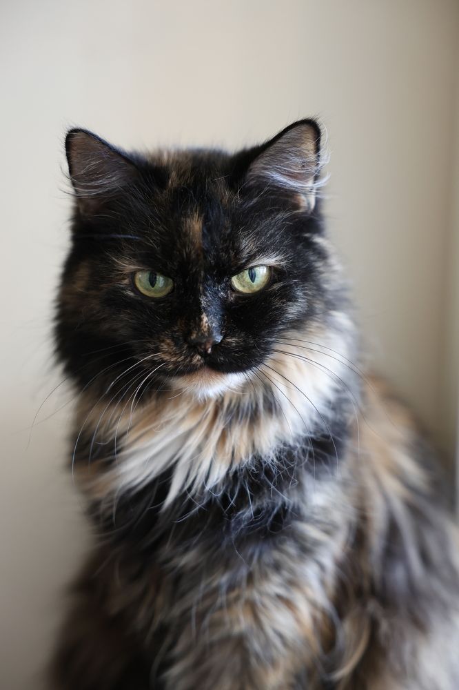 Photograph by Ольга Кириллова